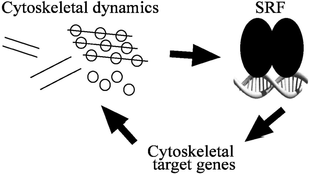 197fig7