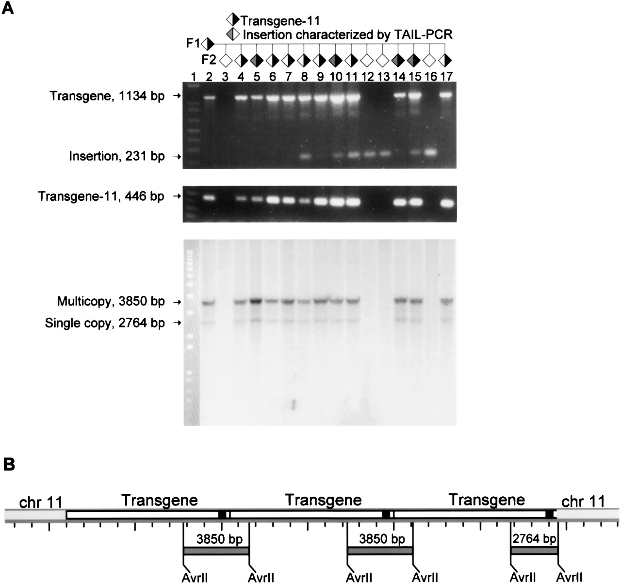 240fig2