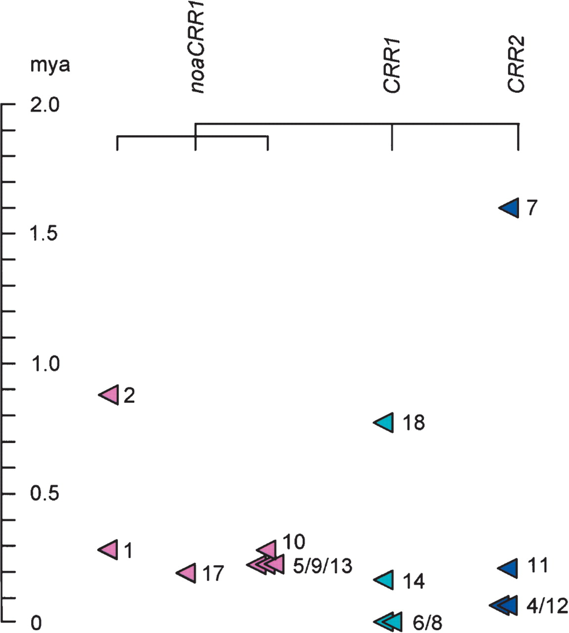 251fig4