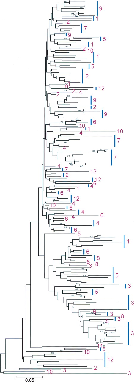 251fig5