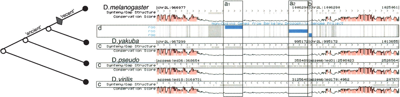 260fig2