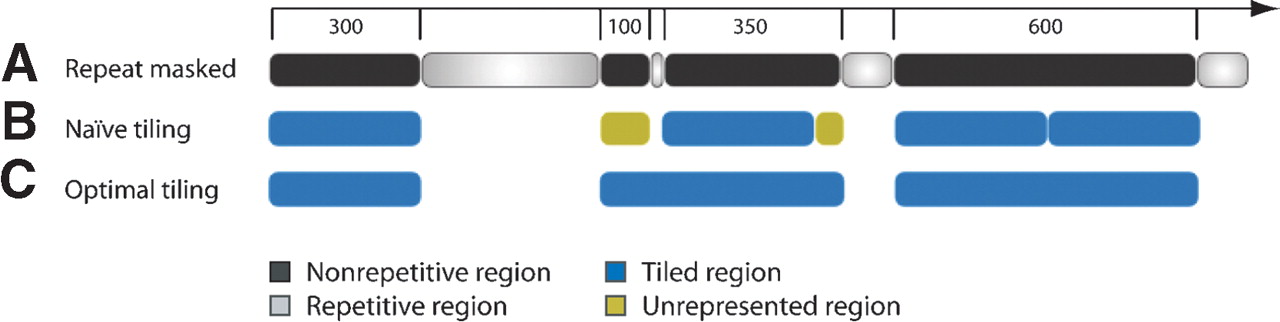 271fig4