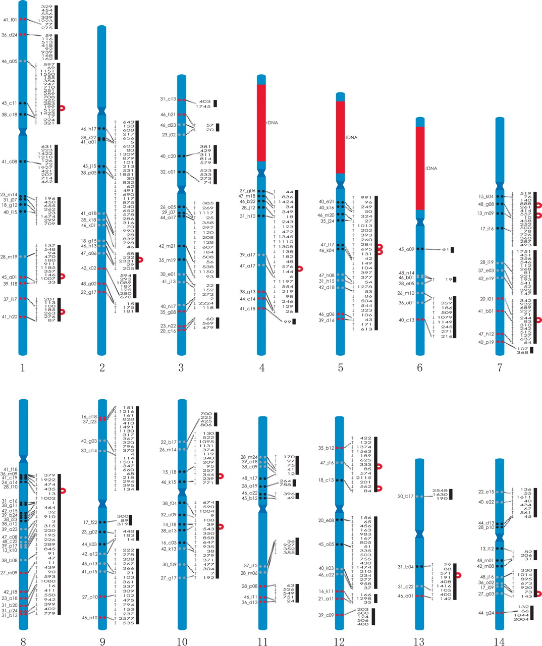 297fig3