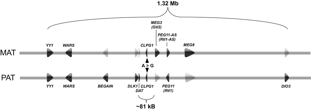 340fig1