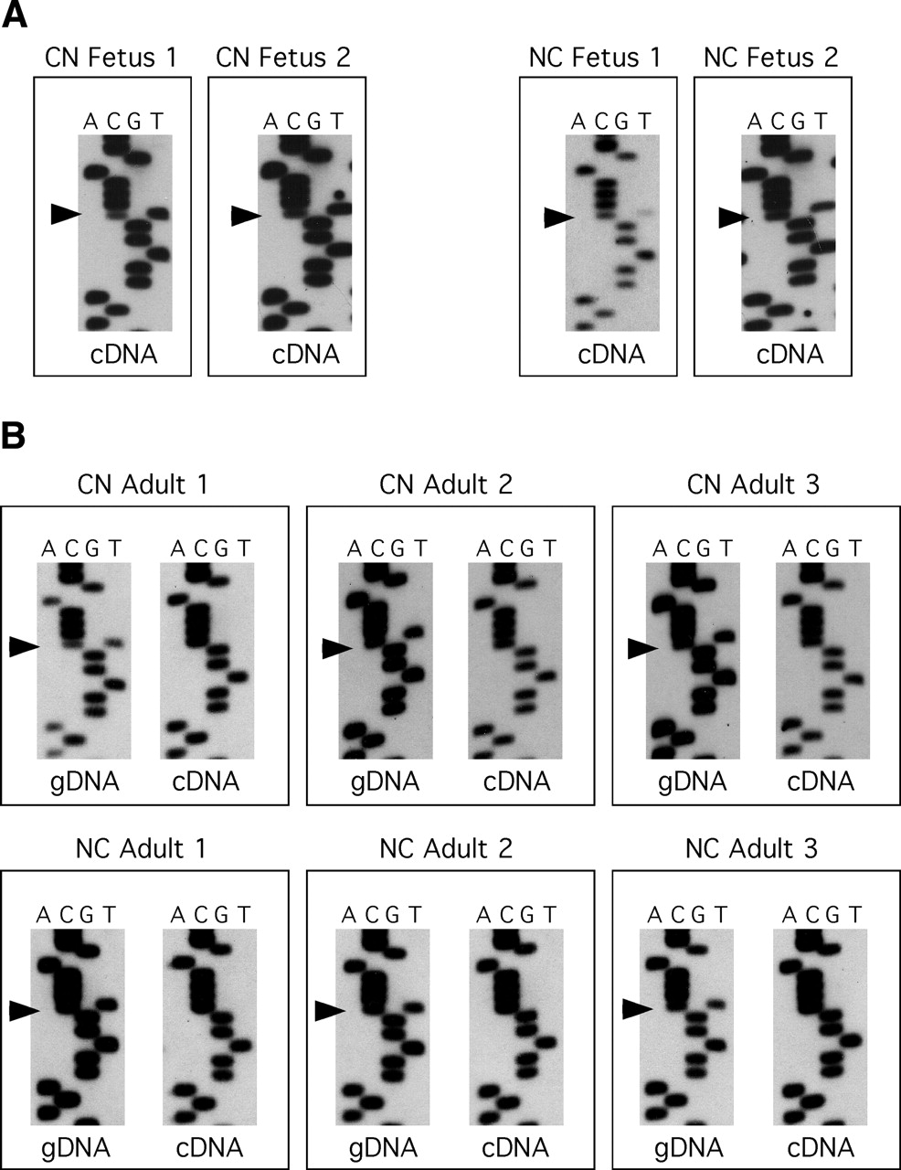 340fig3