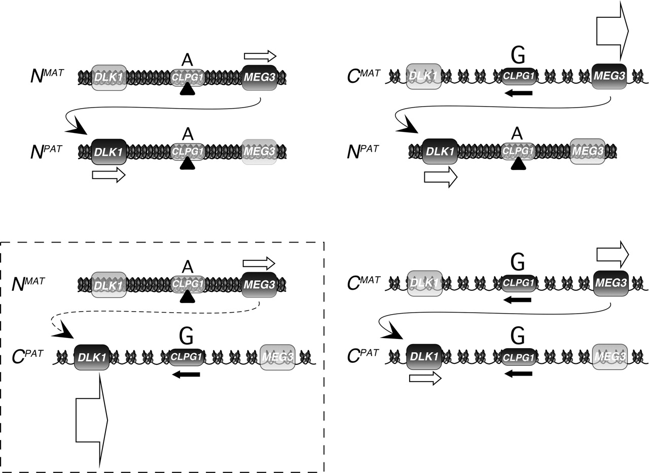 340fig6