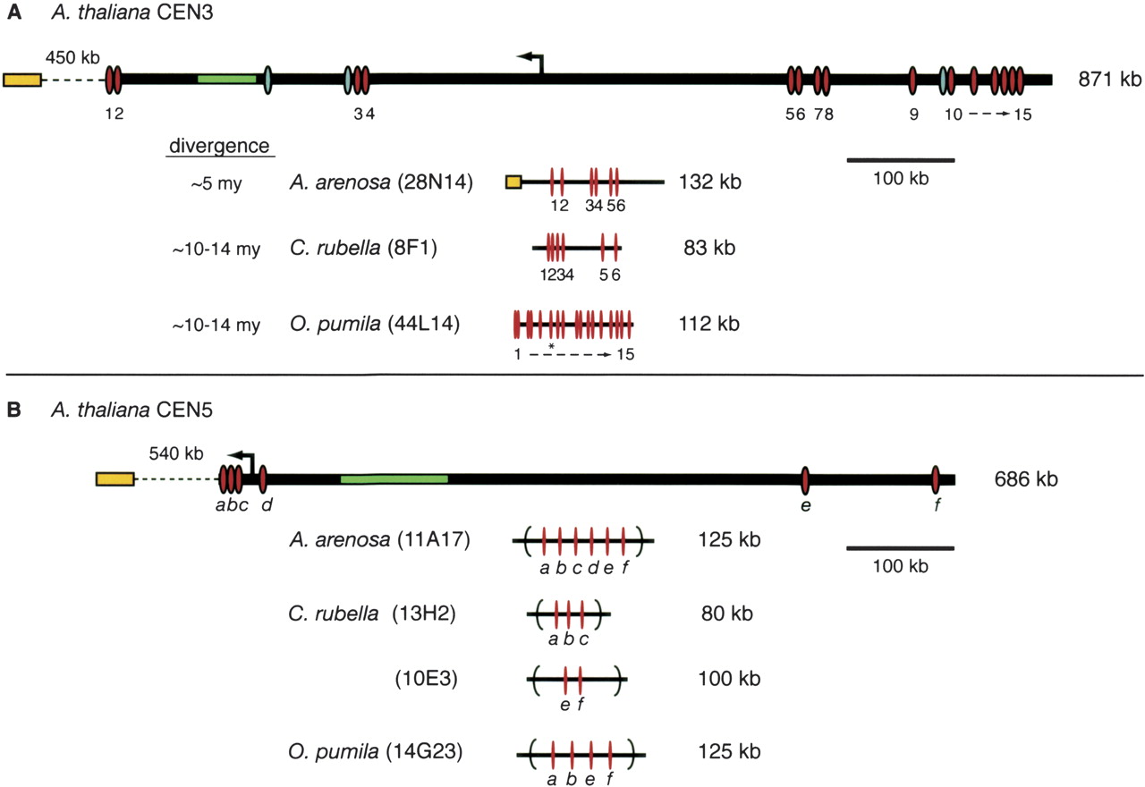 355fig1