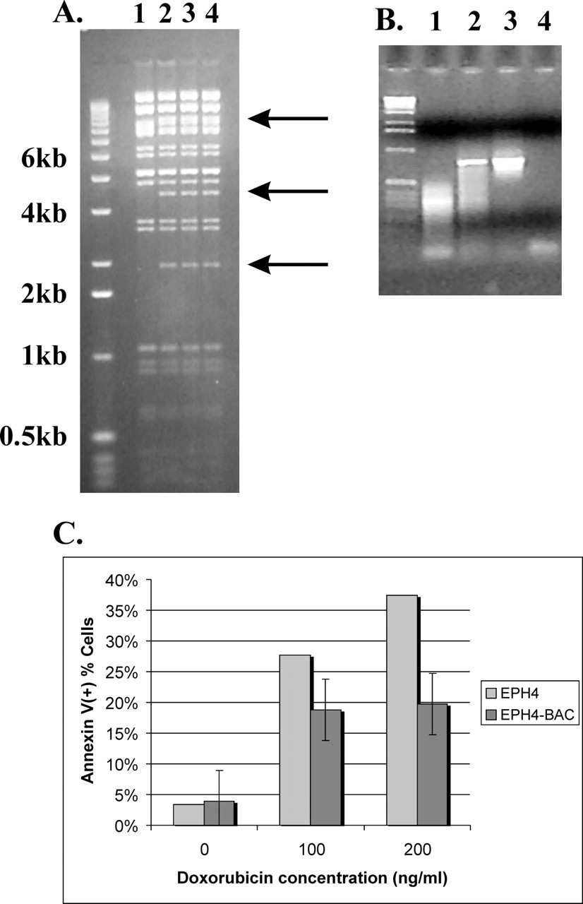 394fig2