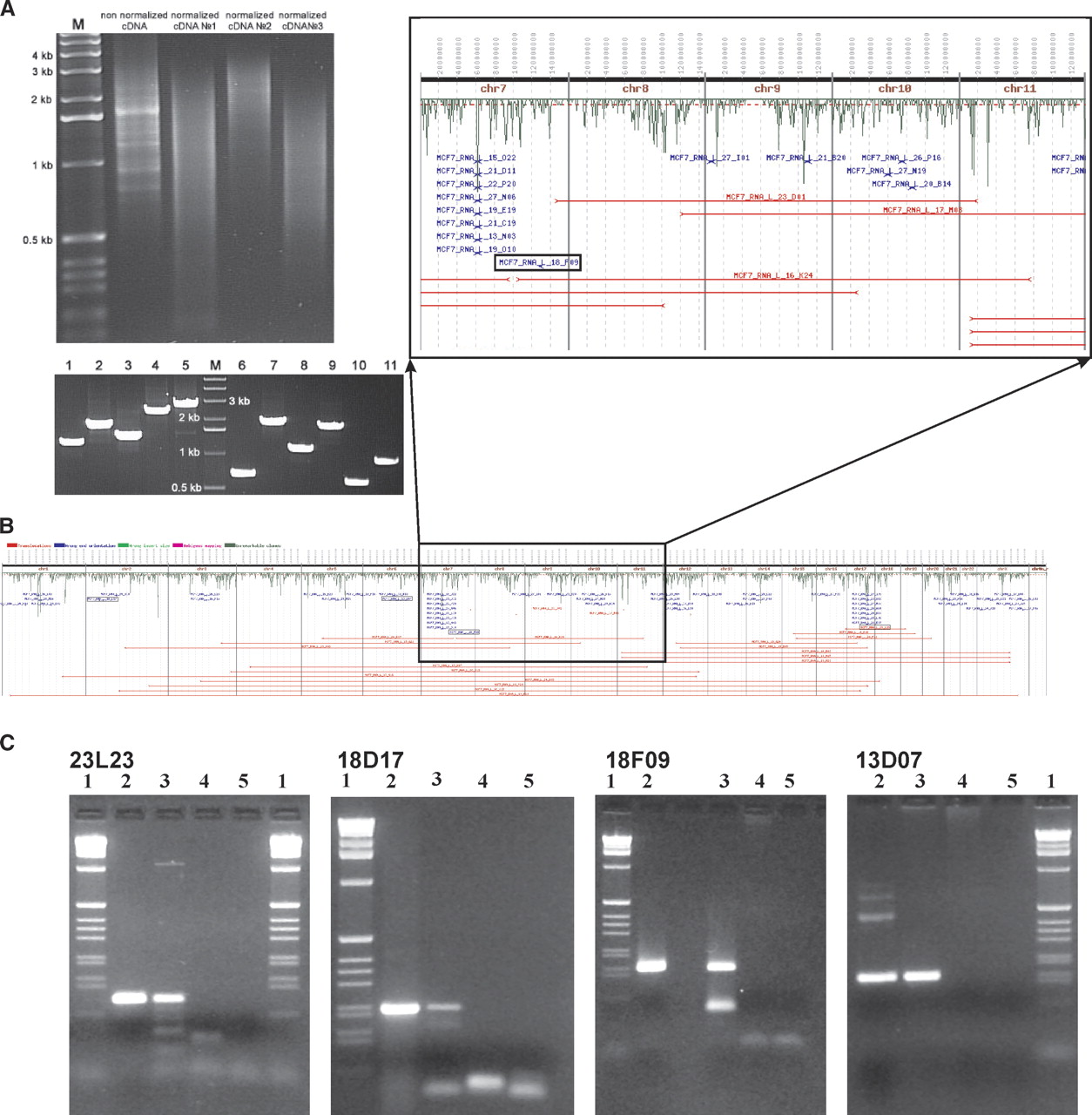394fig3