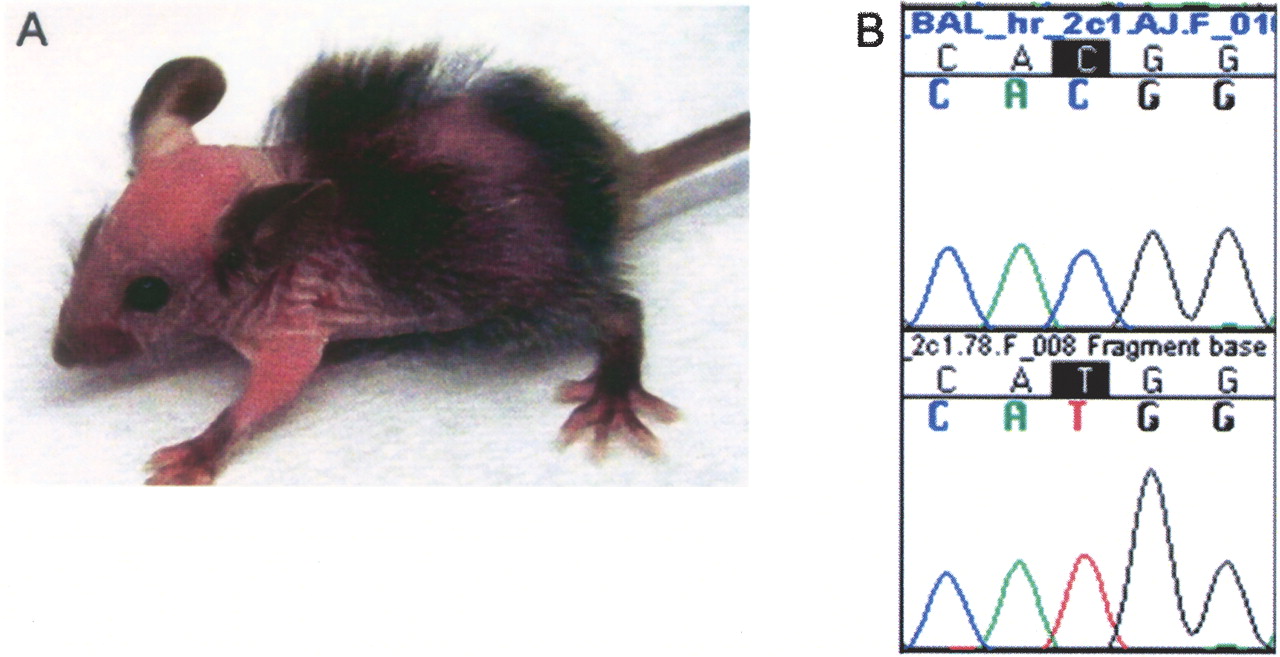 436fig3