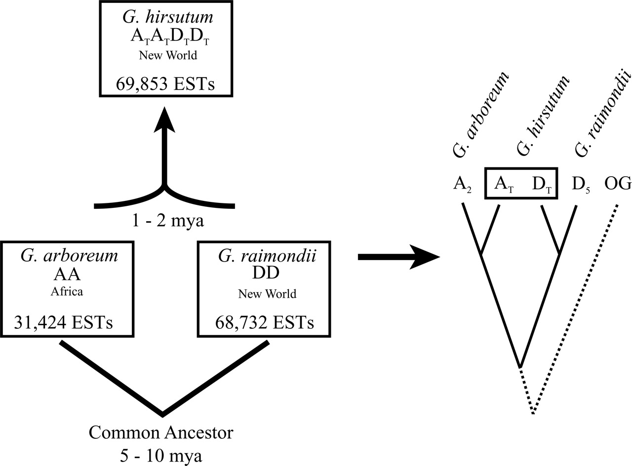 441fig2