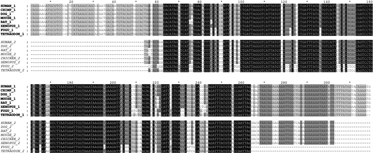 451fig1