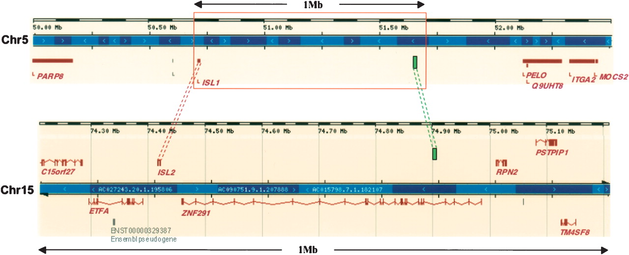 451fig4