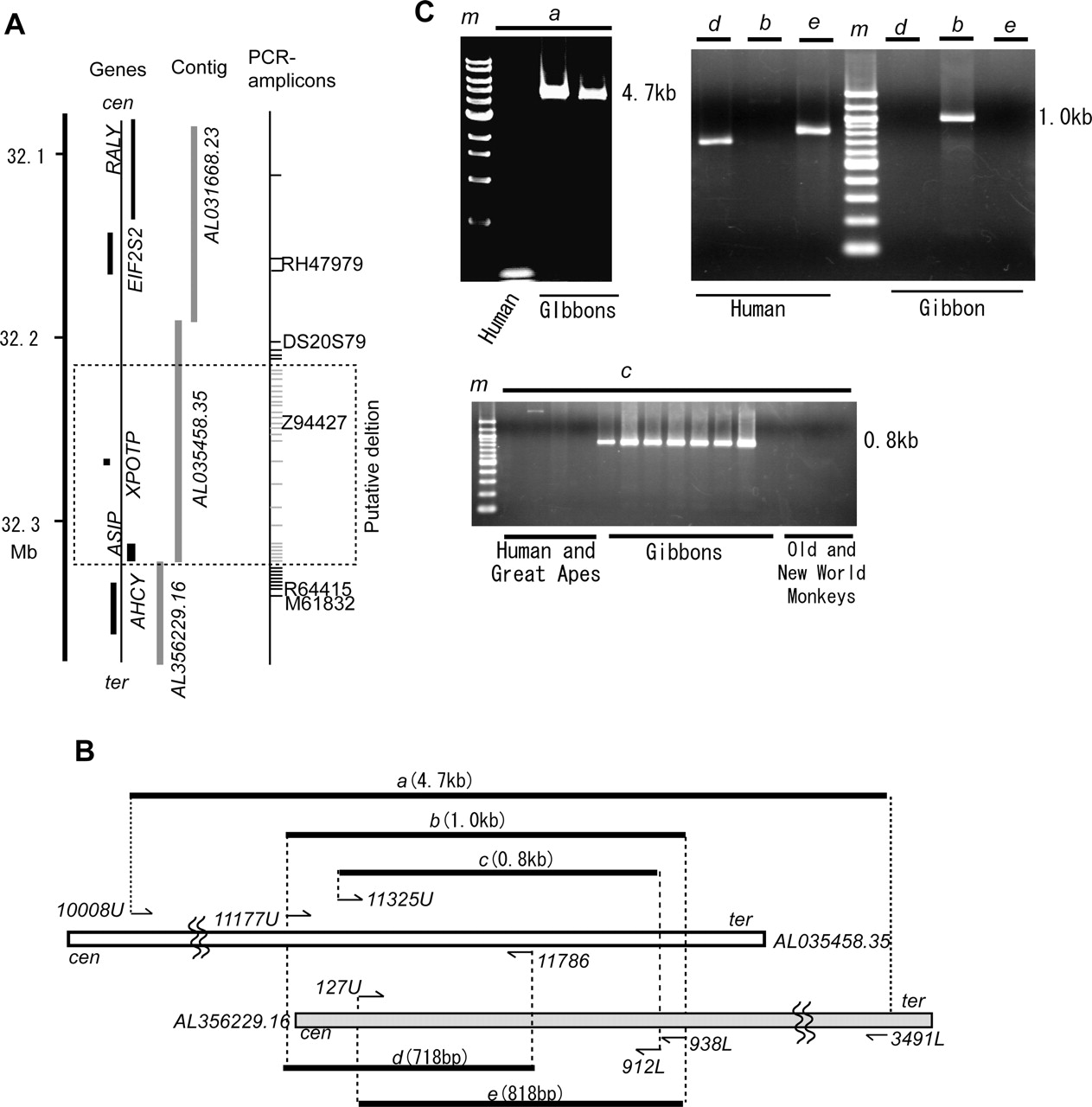 485fig2