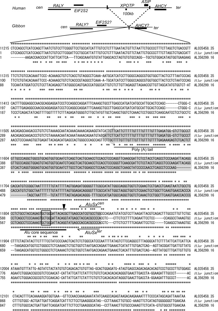 485fig3