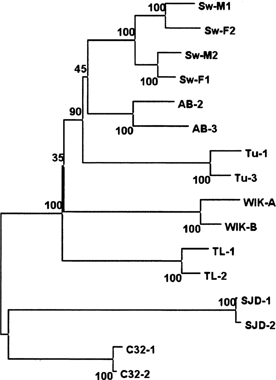491fig2