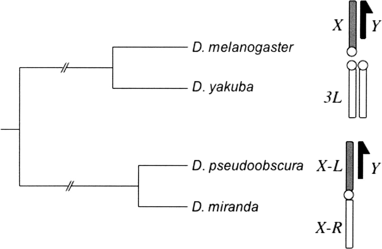 498fig1