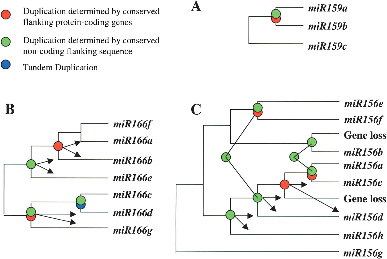 510fig3