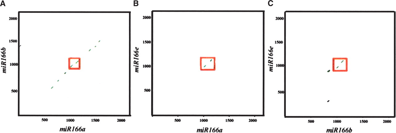 510fig4