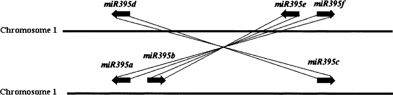 510fig5