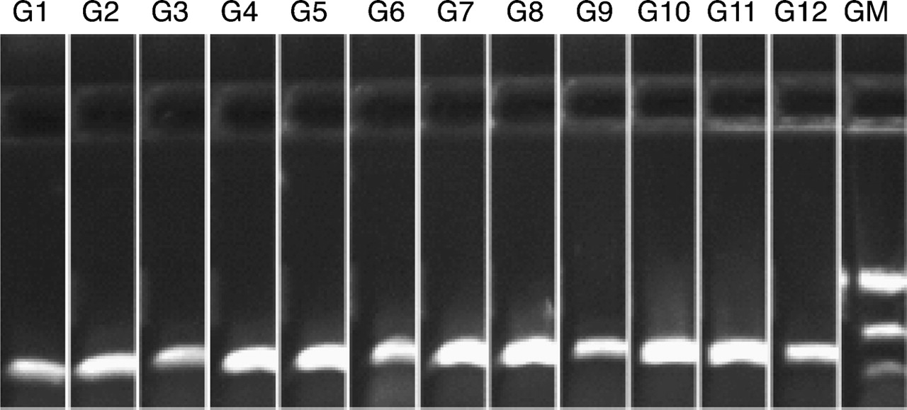 550fig6