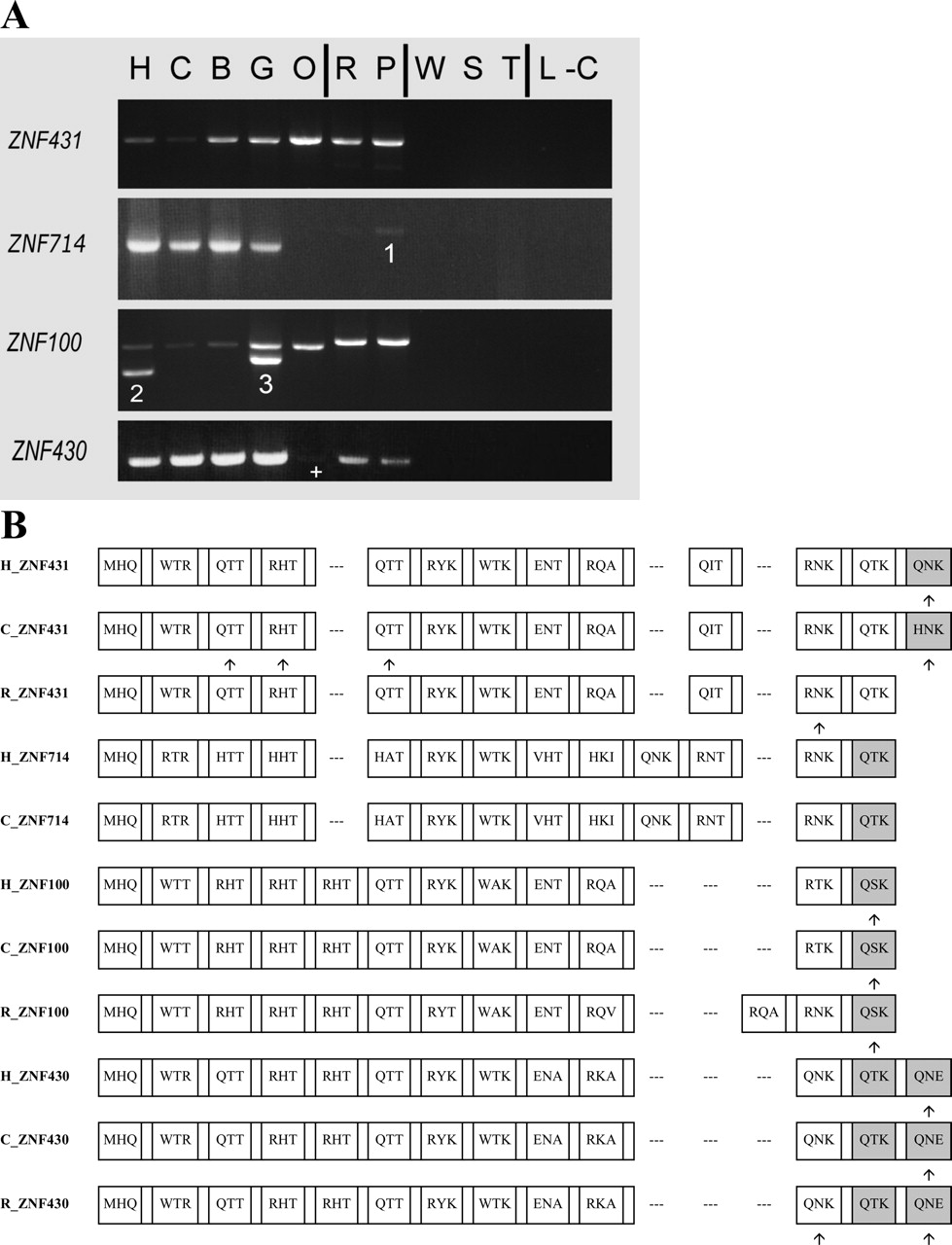584fig4