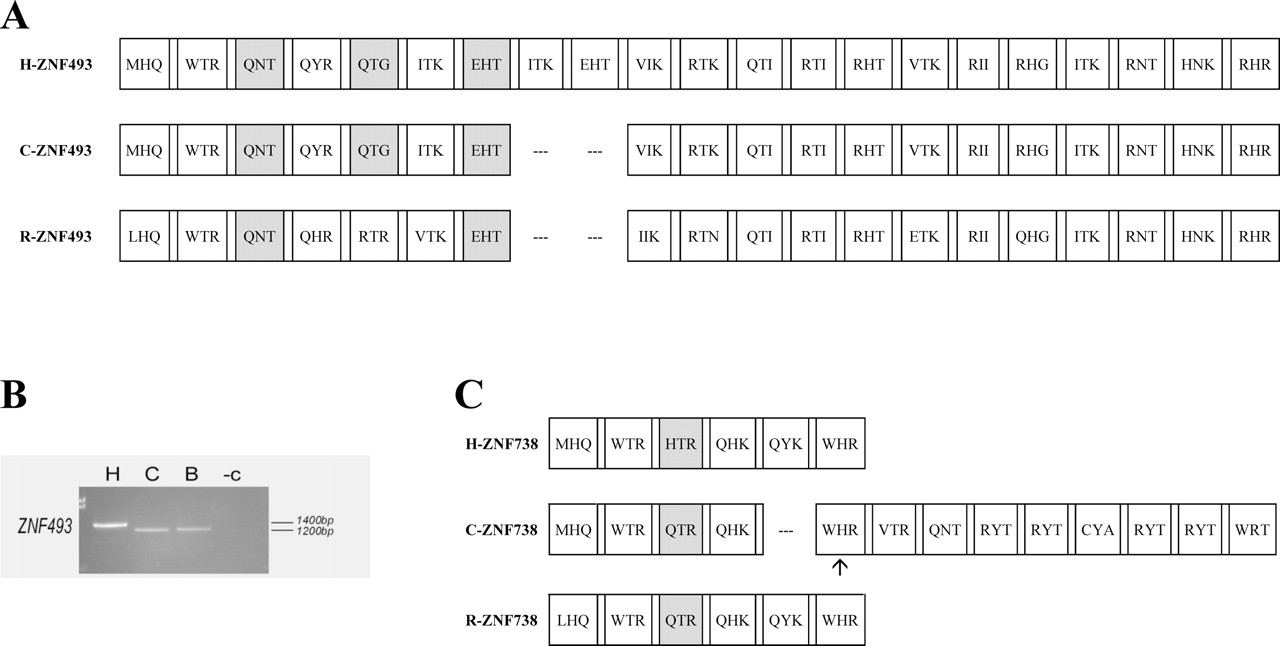 584fig5