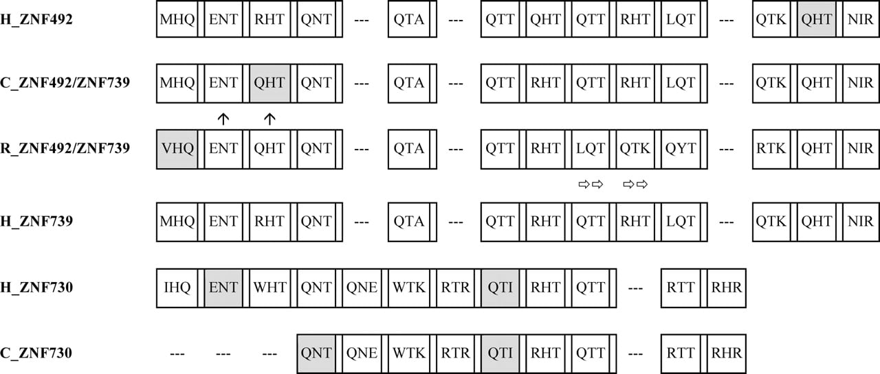 584fig6