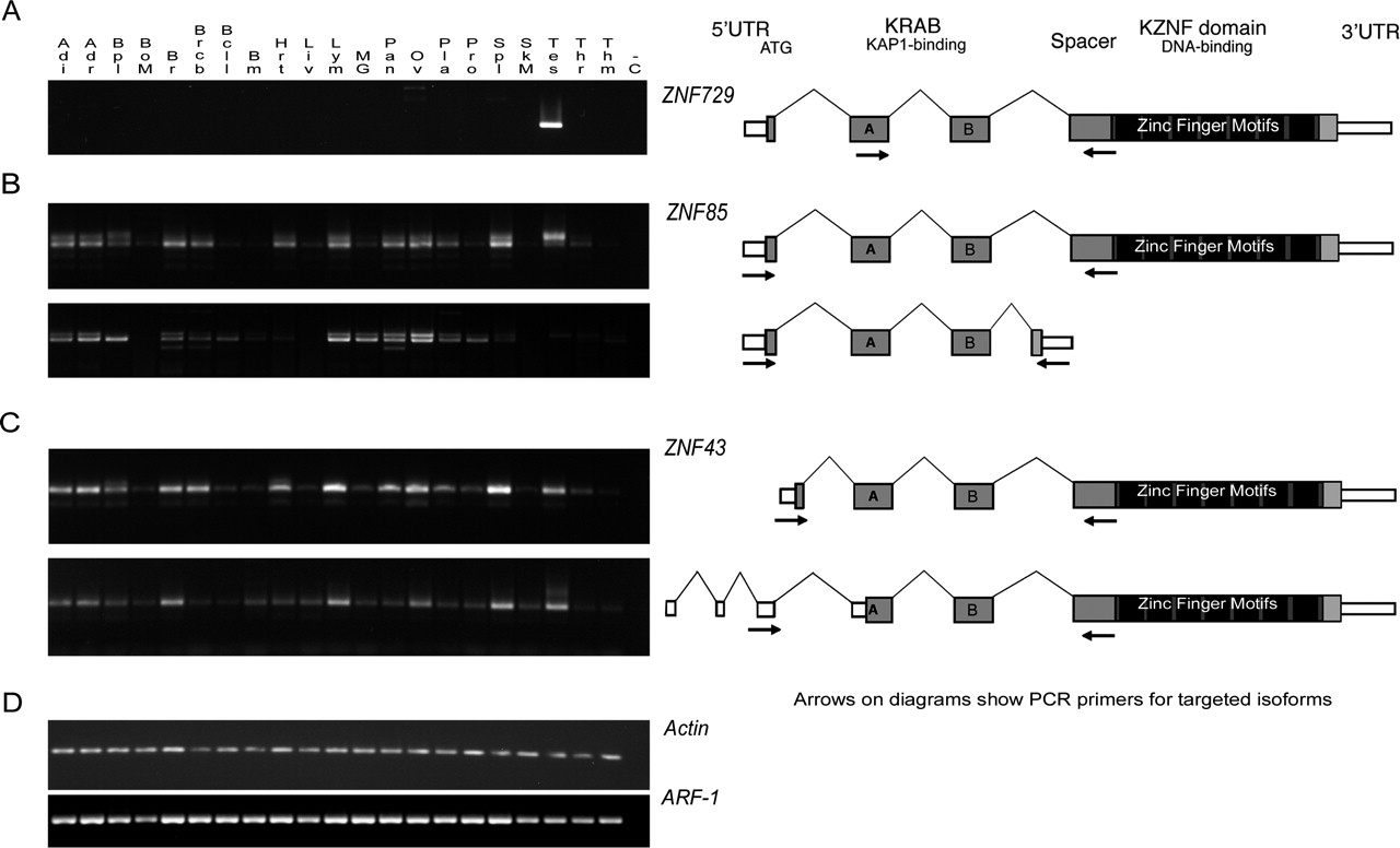 584fig7