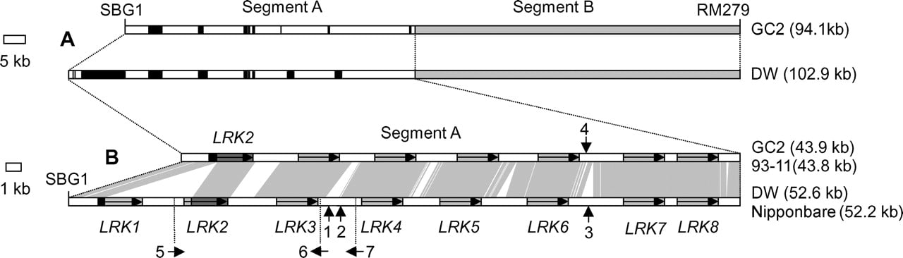 618fig2