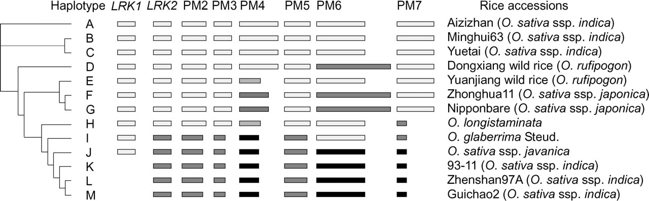 618fig3