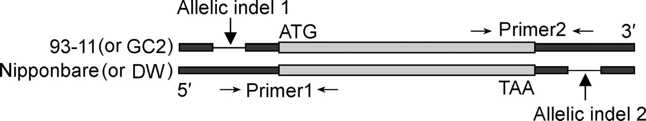 618fig5