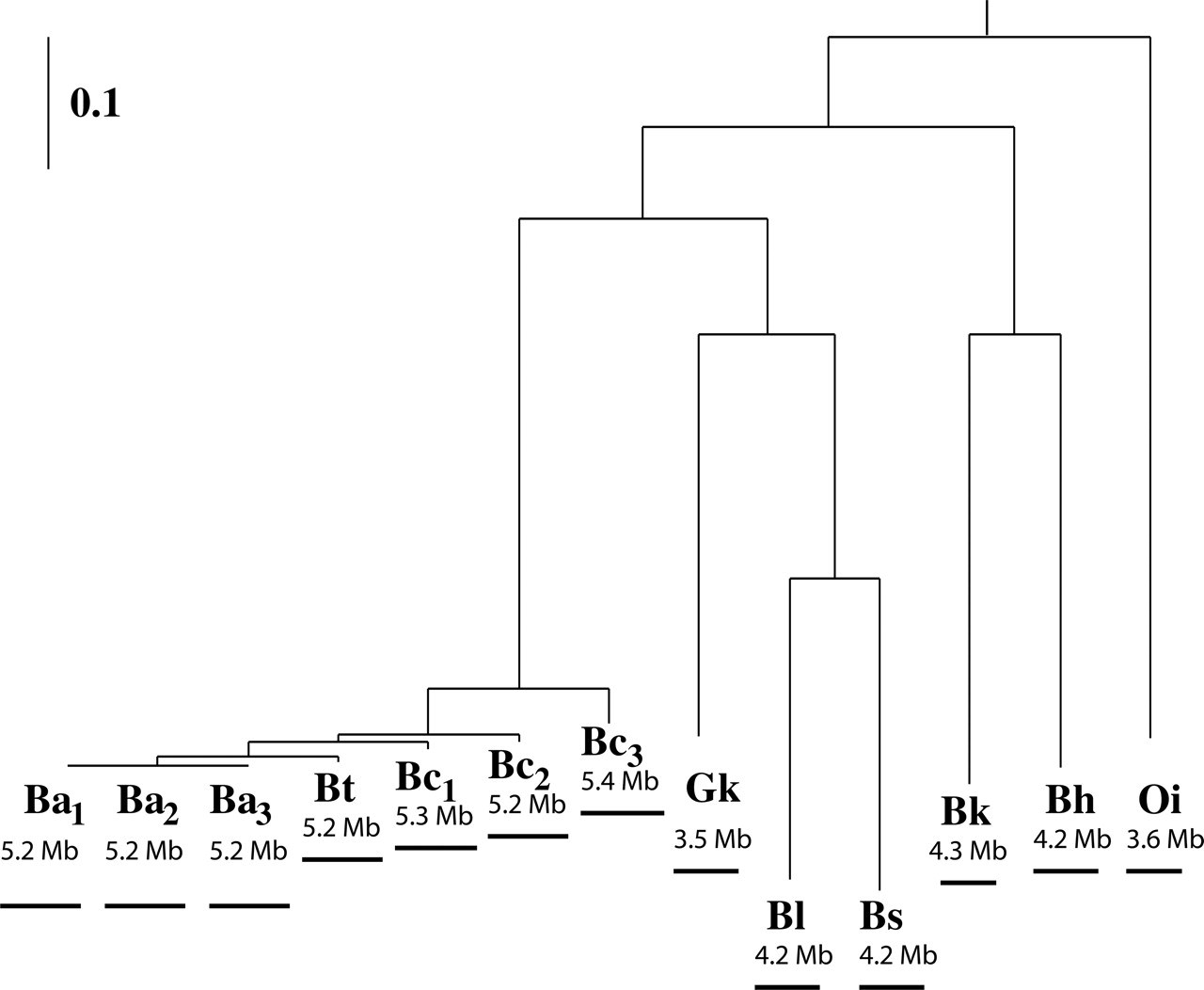 636fig1
