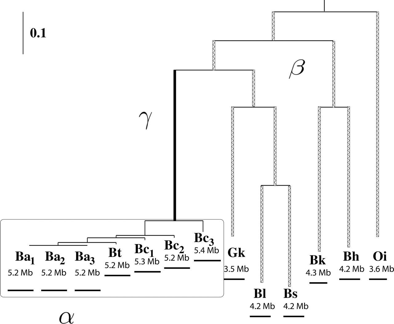 636fig2