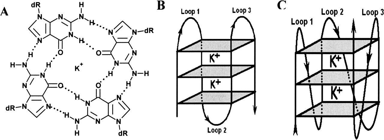 644fig1