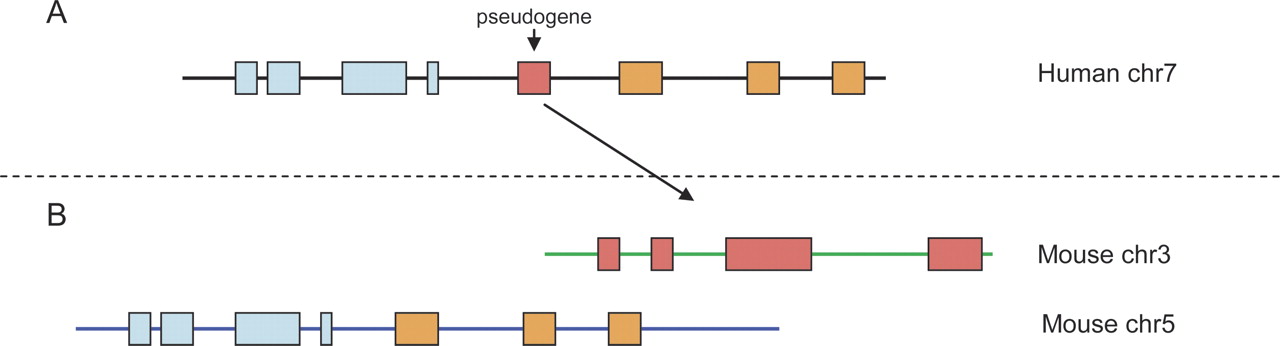 678fig3