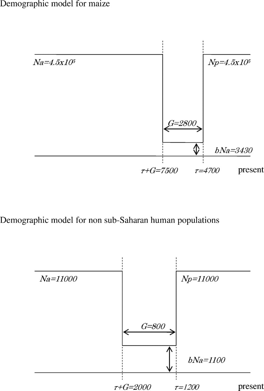 702fig1