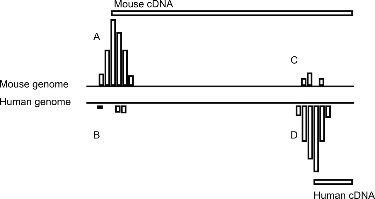 713fig5