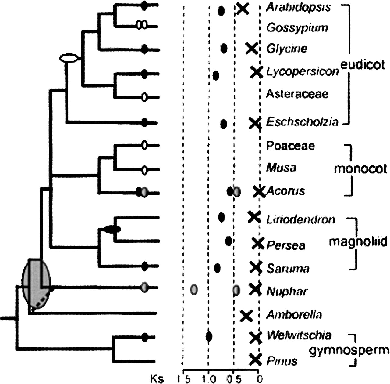 738fig6