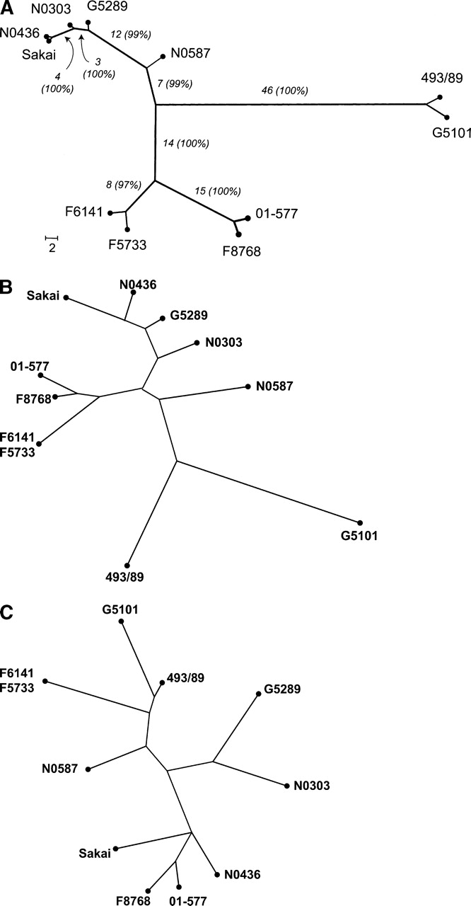 757fig5