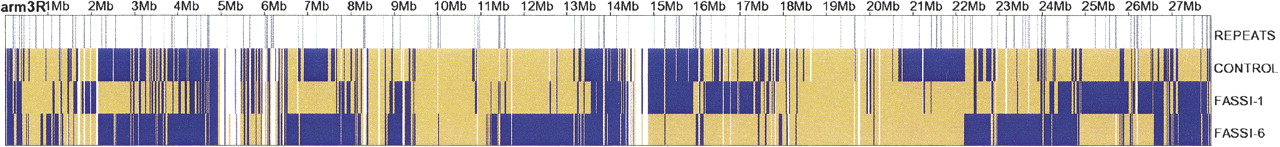 768fig4