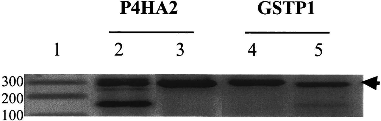 776fig6