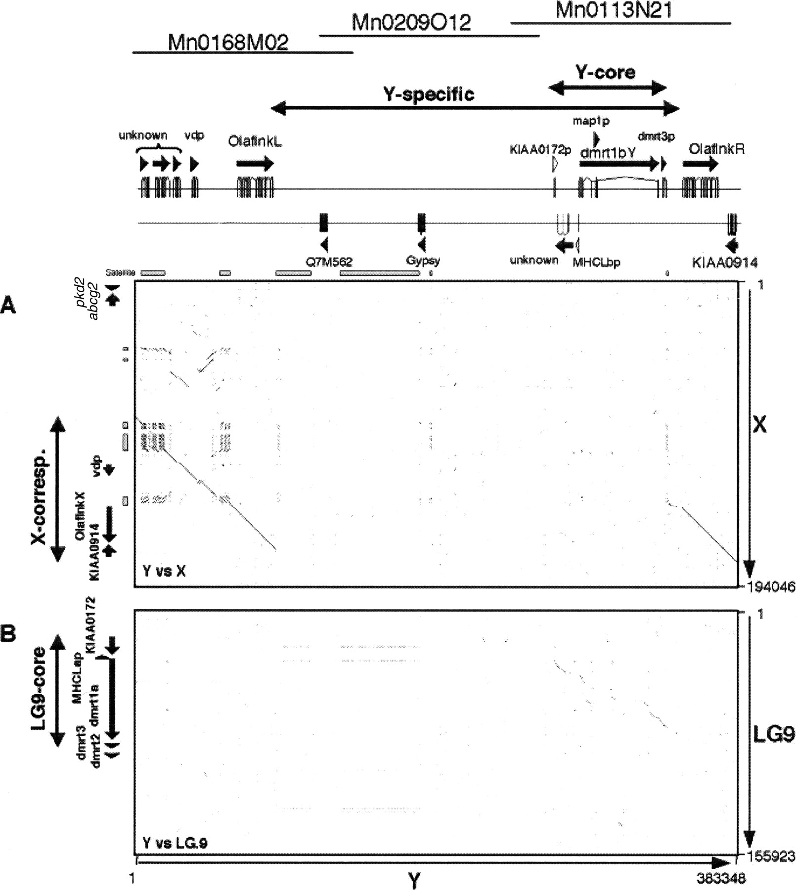 815fig4