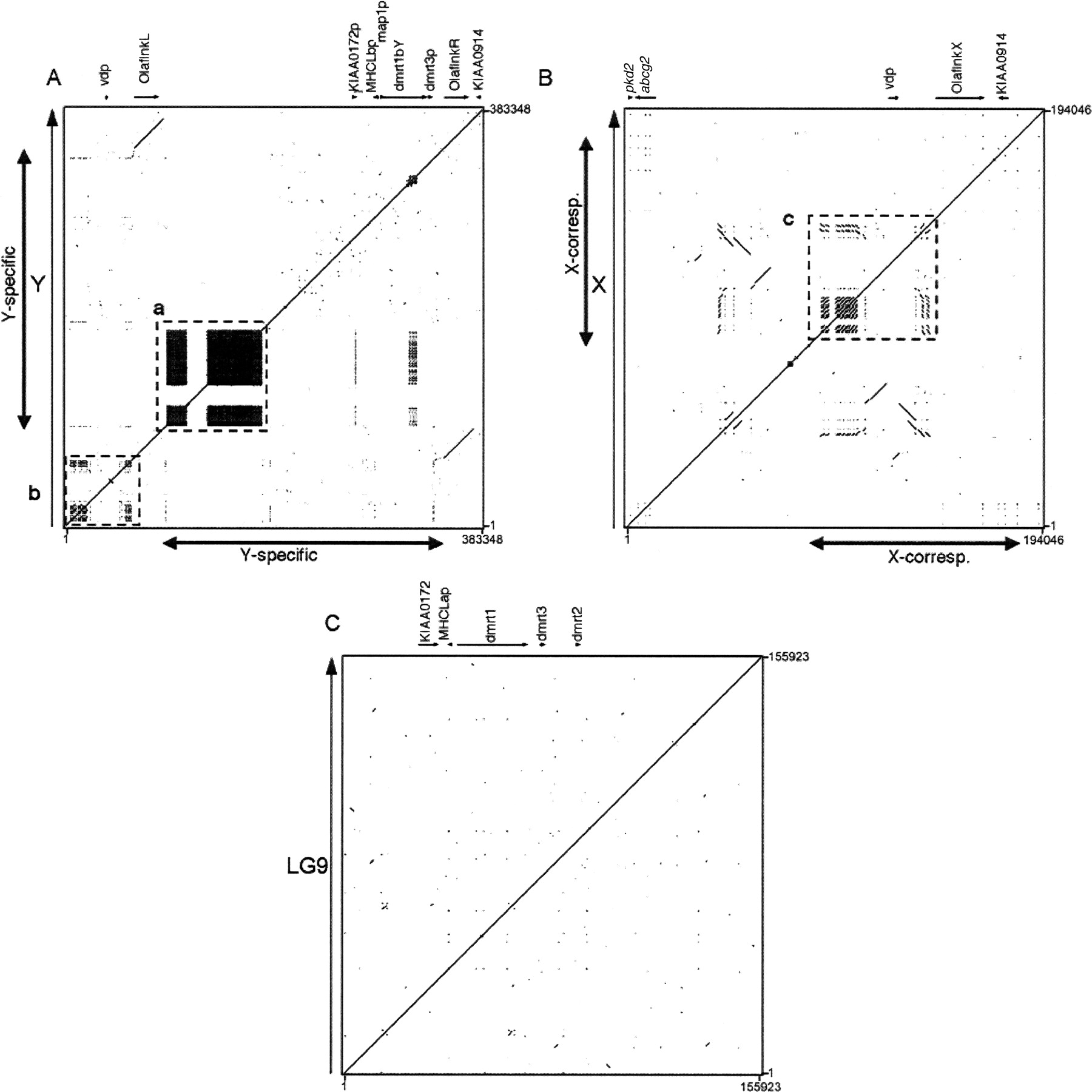 815fig5