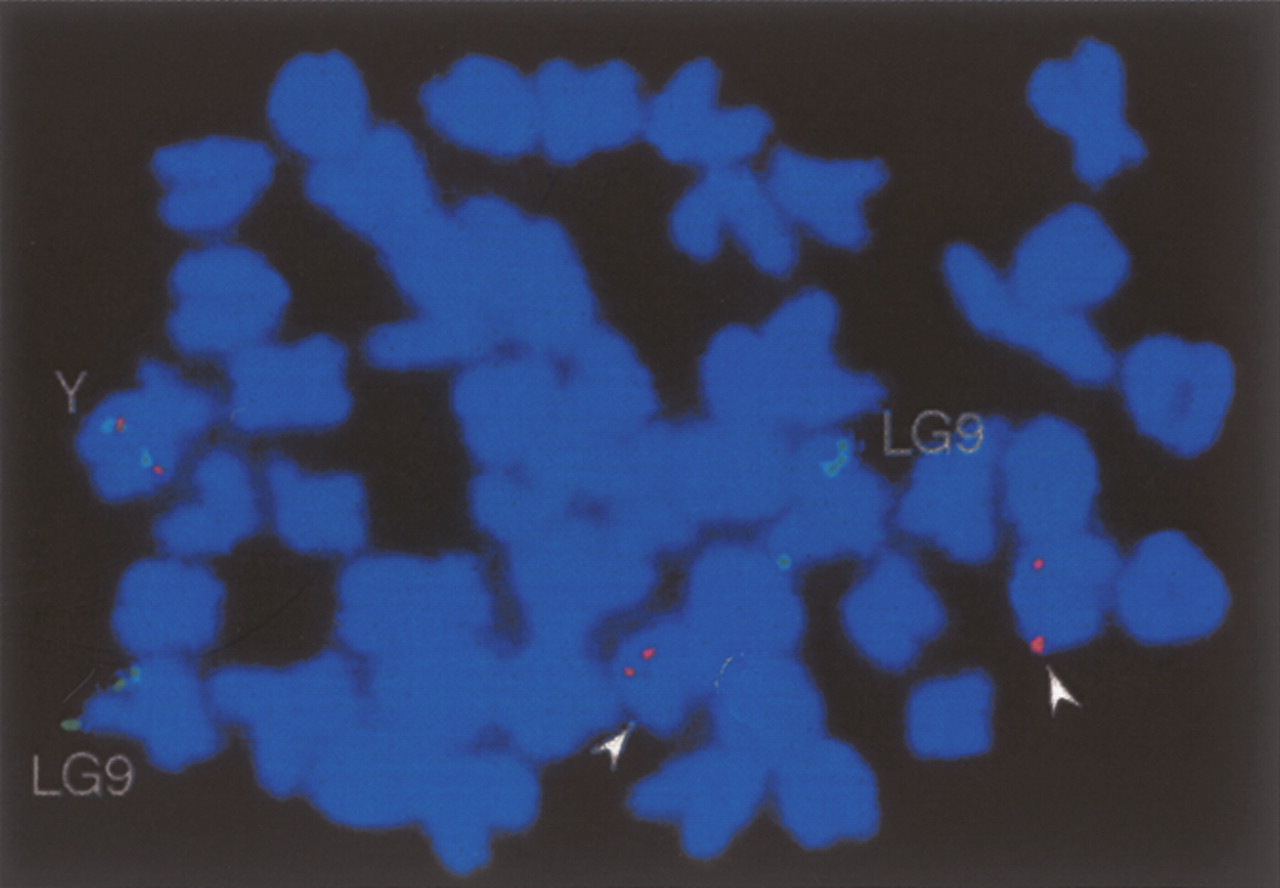 815fig6