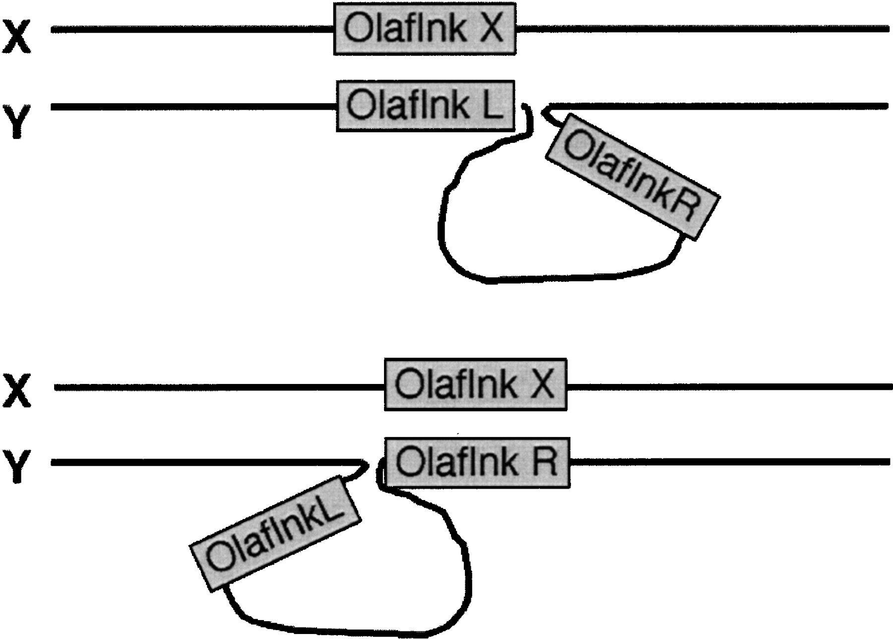 815fig9