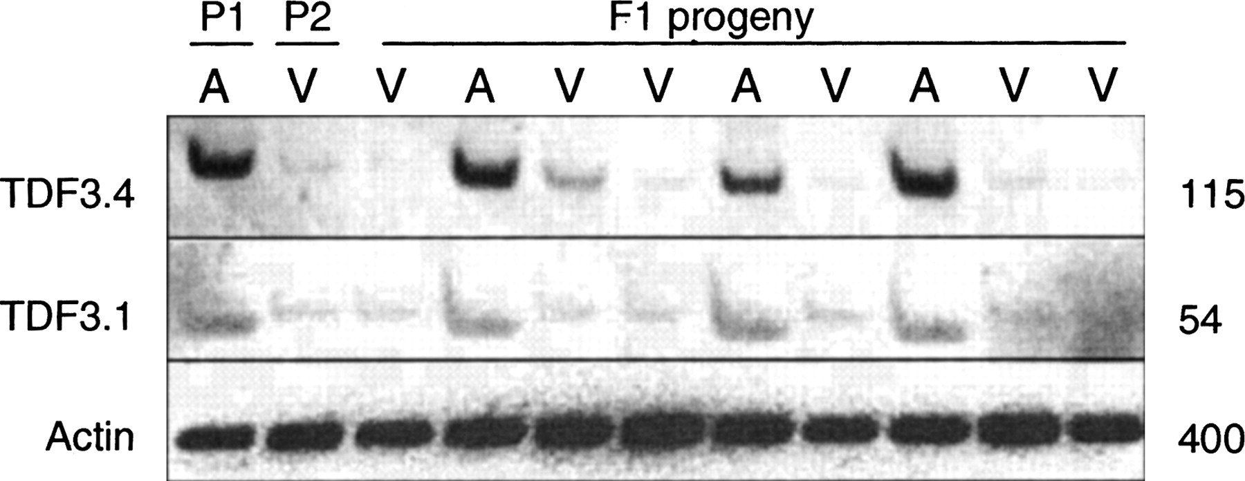 827fig1