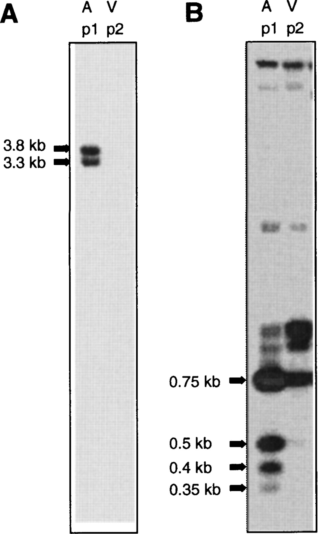 827fig2