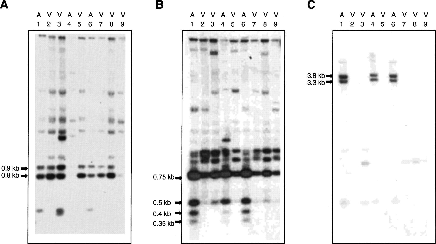 827fig5