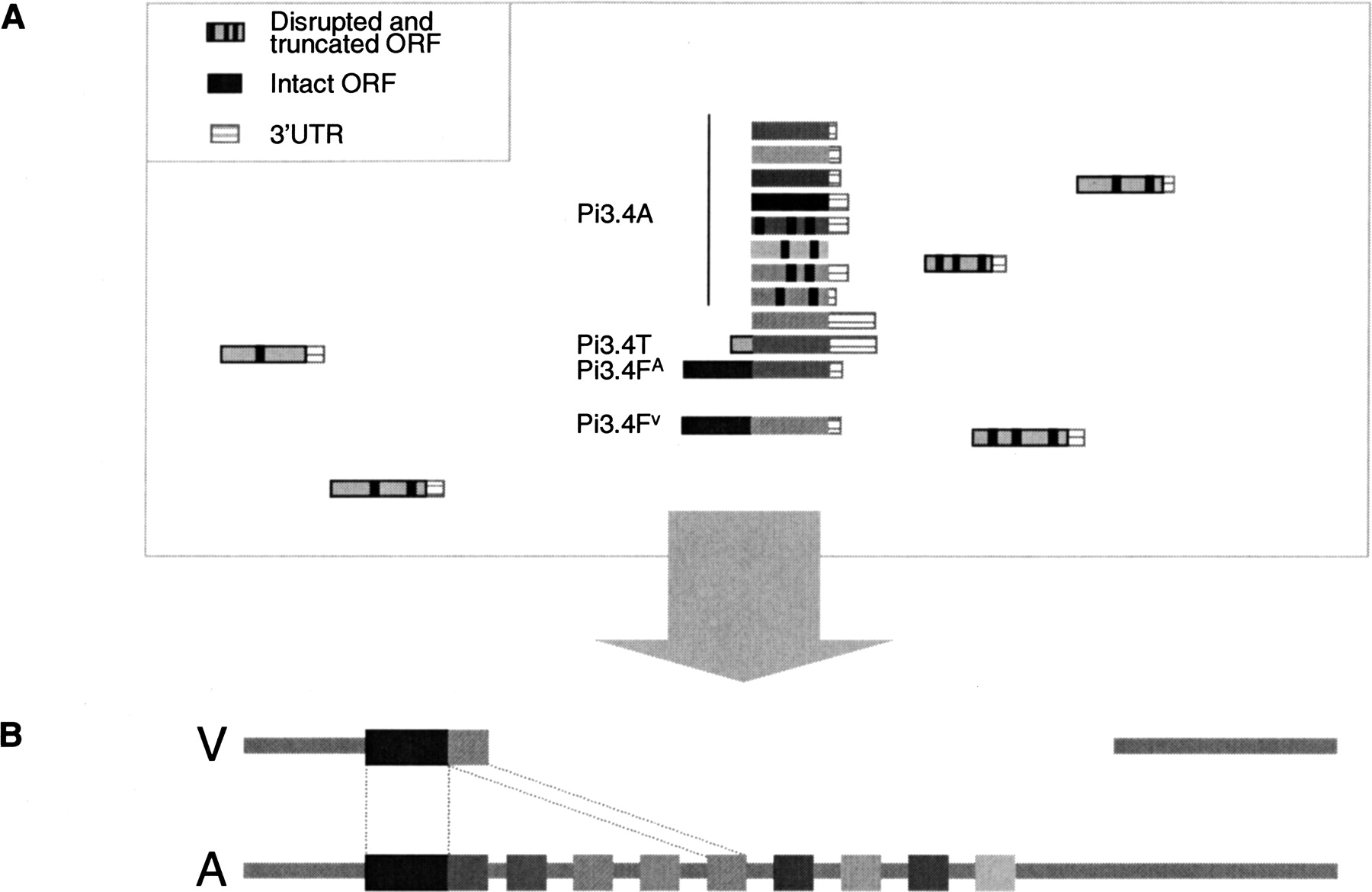 827fig8